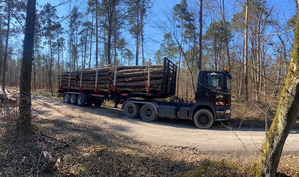 Scania R 500 mit Holztrailer