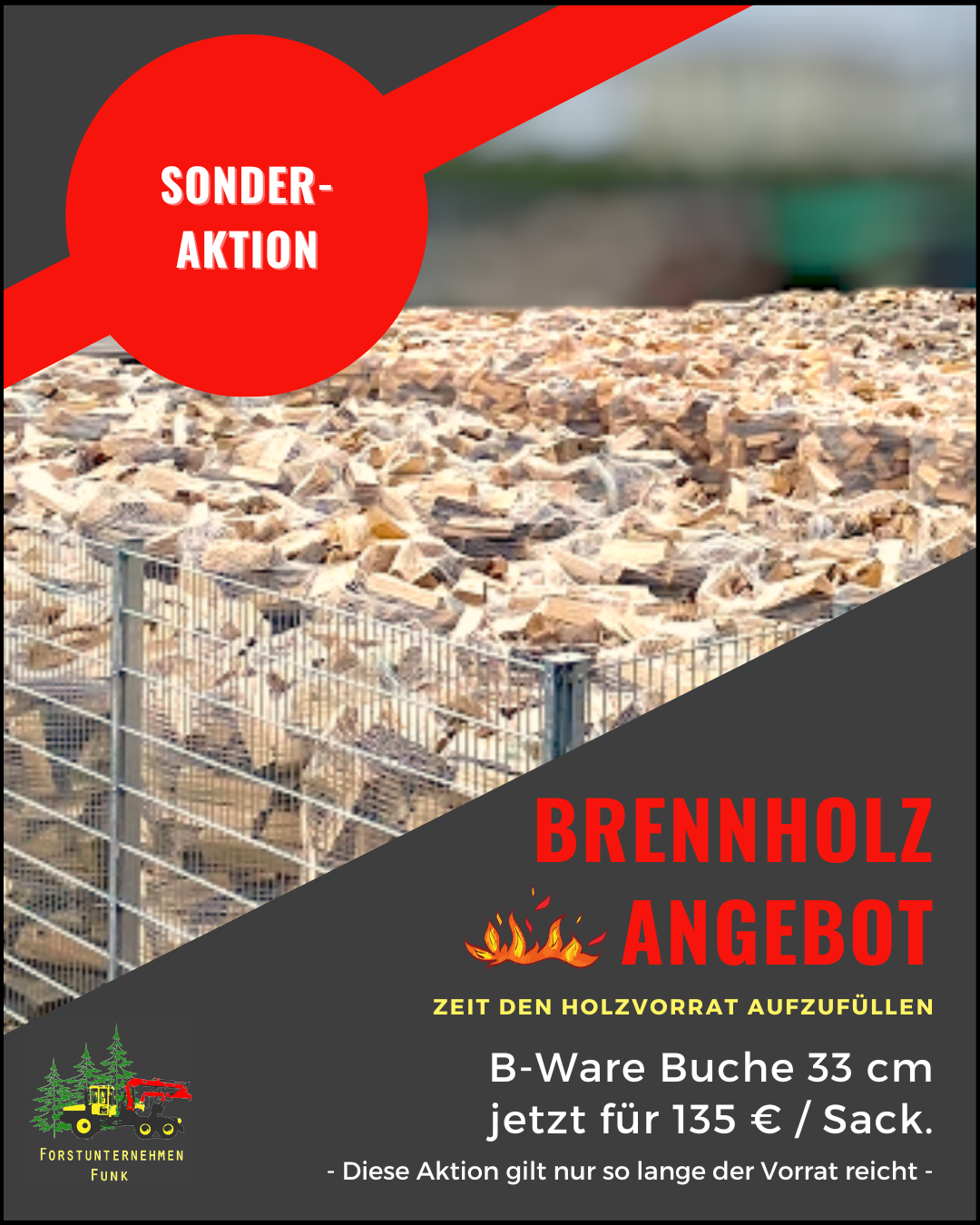Sonderaktion Buche Brennholz B-Ware für 40 €